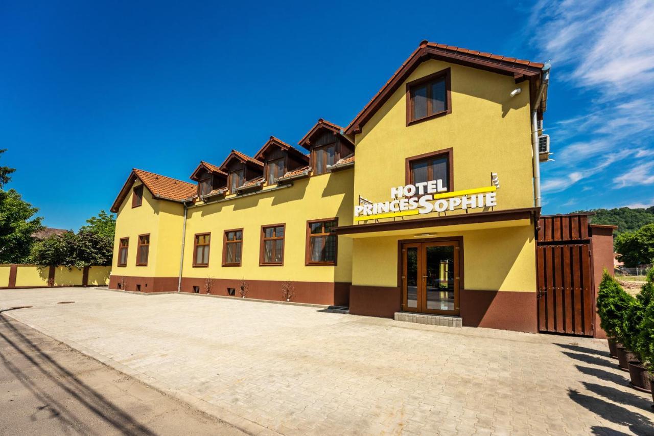 Hotel Princessophie Sighișoara Zewnętrze zdjęcie