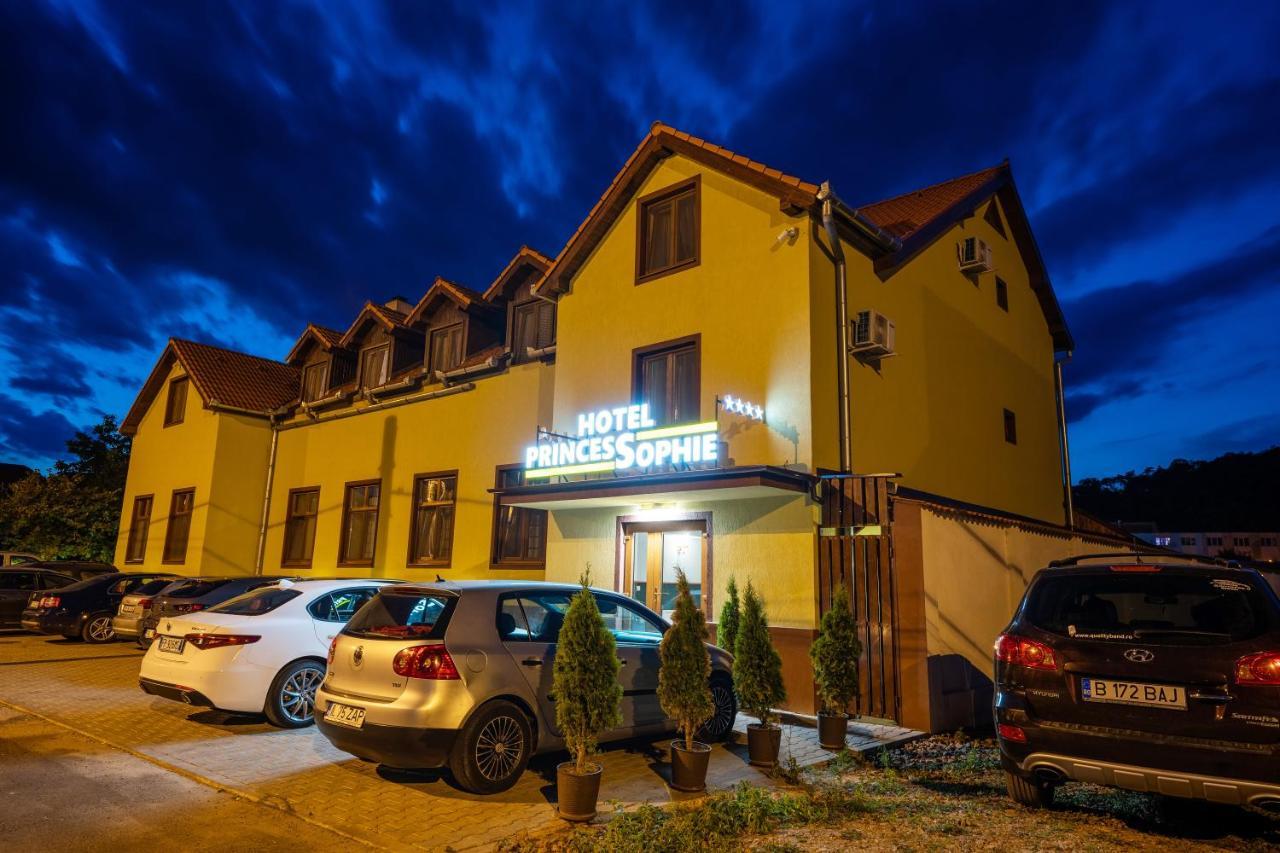 Hotel Princessophie Sighișoara Zewnętrze zdjęcie